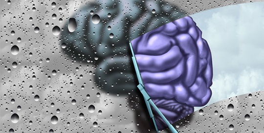 Serious Mental Illness: A Brief History