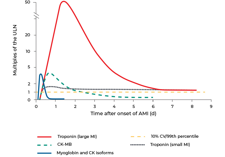 Graph showing troponin levels rising quickly after onset of MI