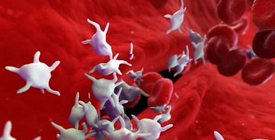 The Importance of Mean Platelet Volume