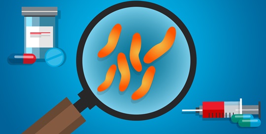 How Bacteria Become Antibiotic Resistant