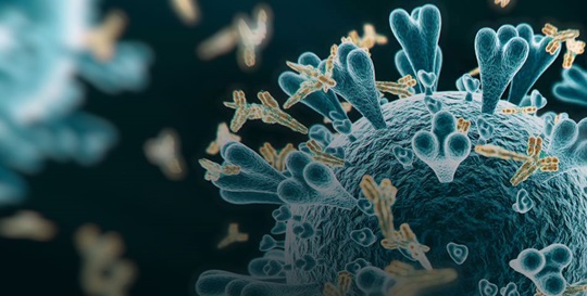 Medical Value of SARS-CoV-2 Spike Protein