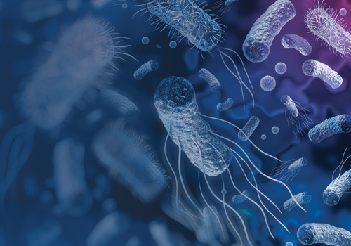 Petri dish with microorganisms.
