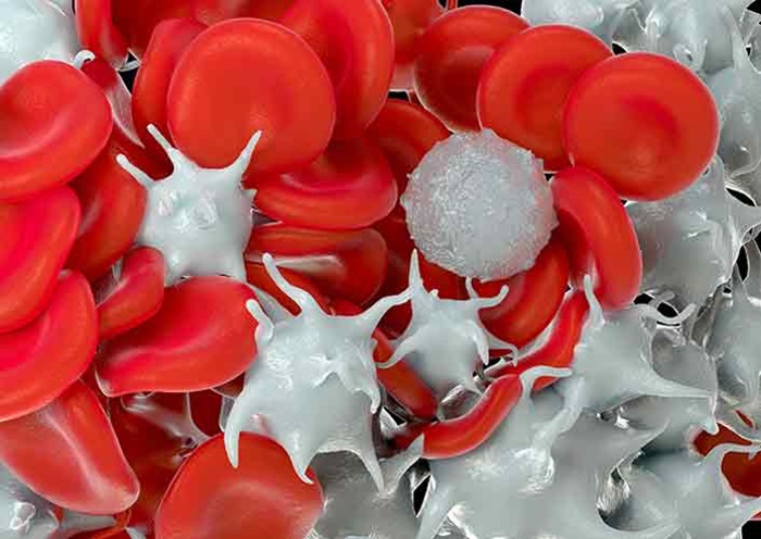 Innovations in Multvariate Hematology Analysis
