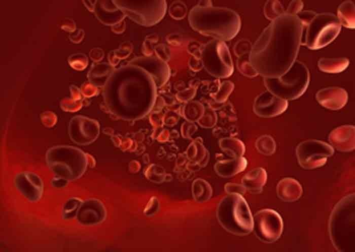 Innovations in Multvariate Hematology Analysis