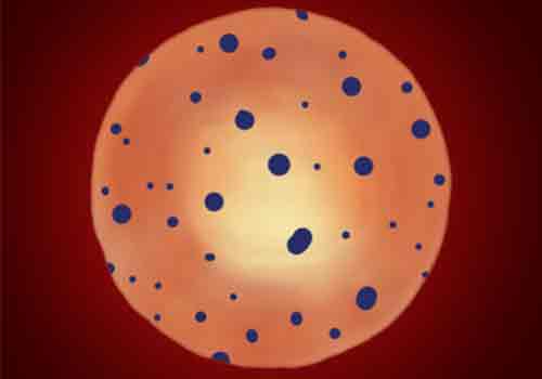 reticulocytes