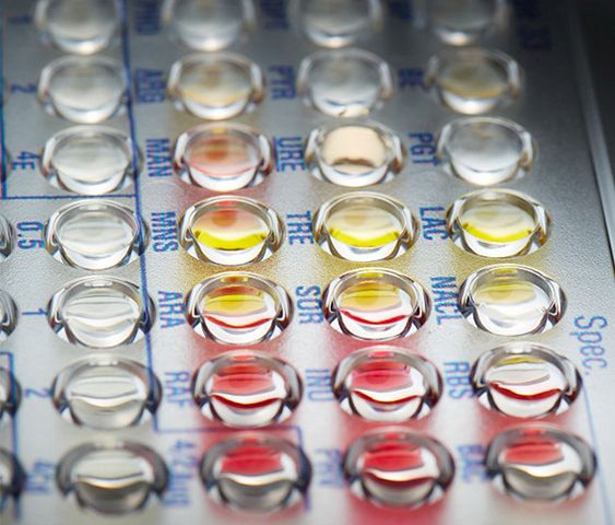 Microbiology MicroScan Conventional Panels
