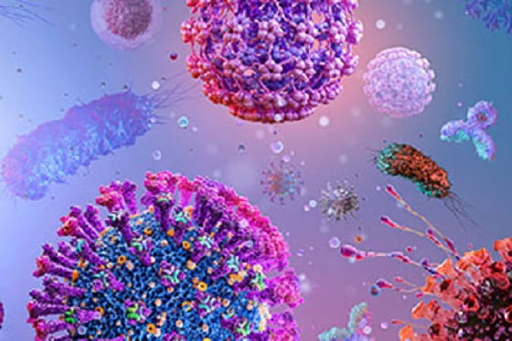 Infectious disease card