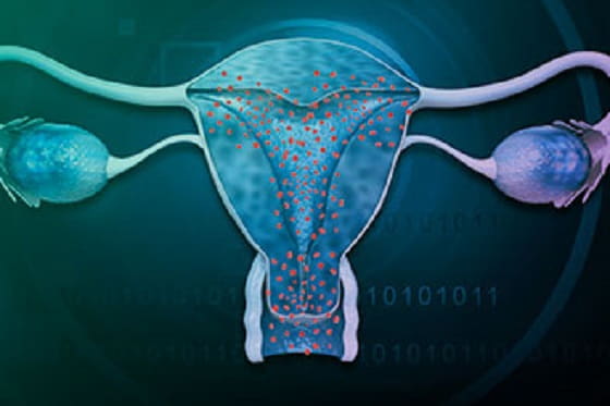 Women Health